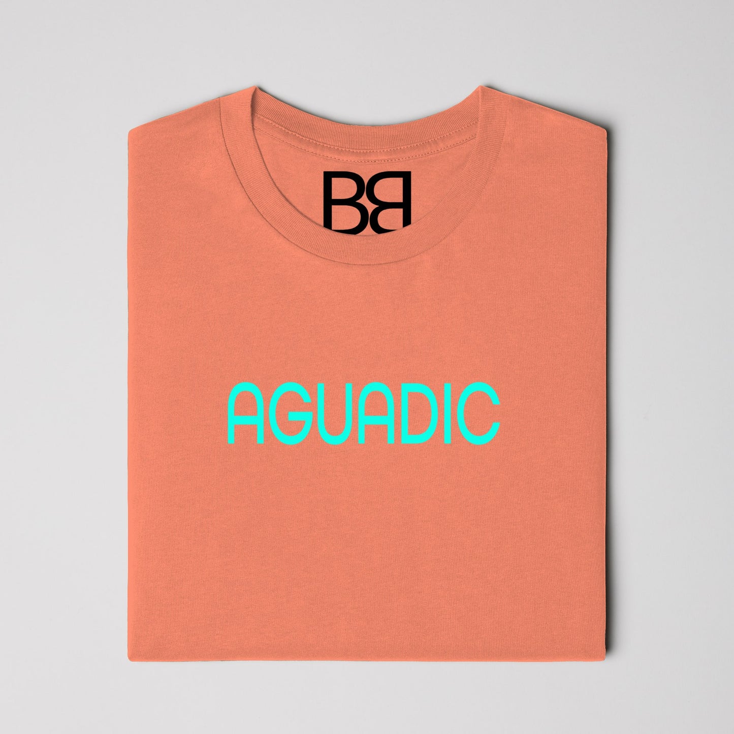 AGUADIC-NAPLES SUSNET