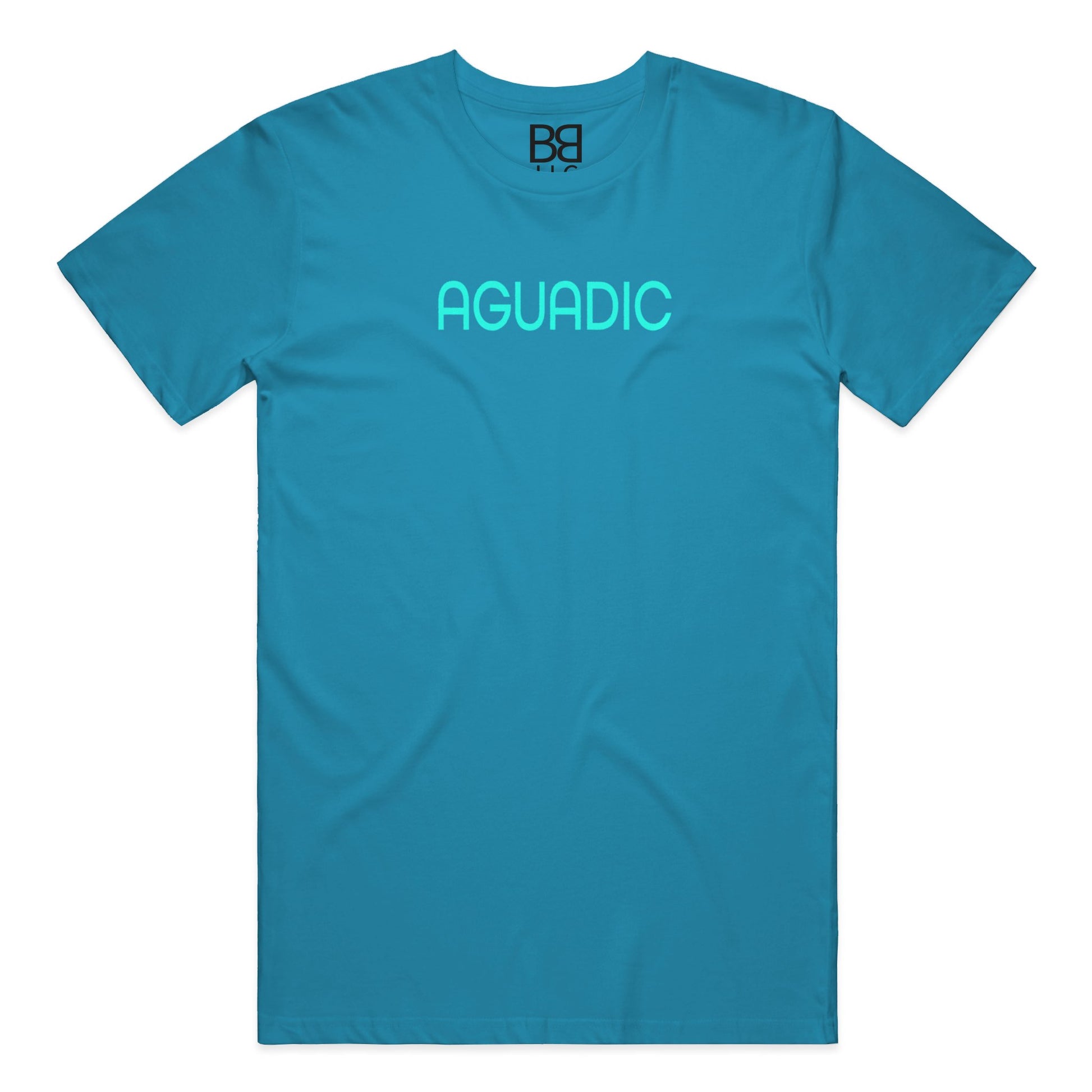 AGUADIC-NAPLES SUSNET