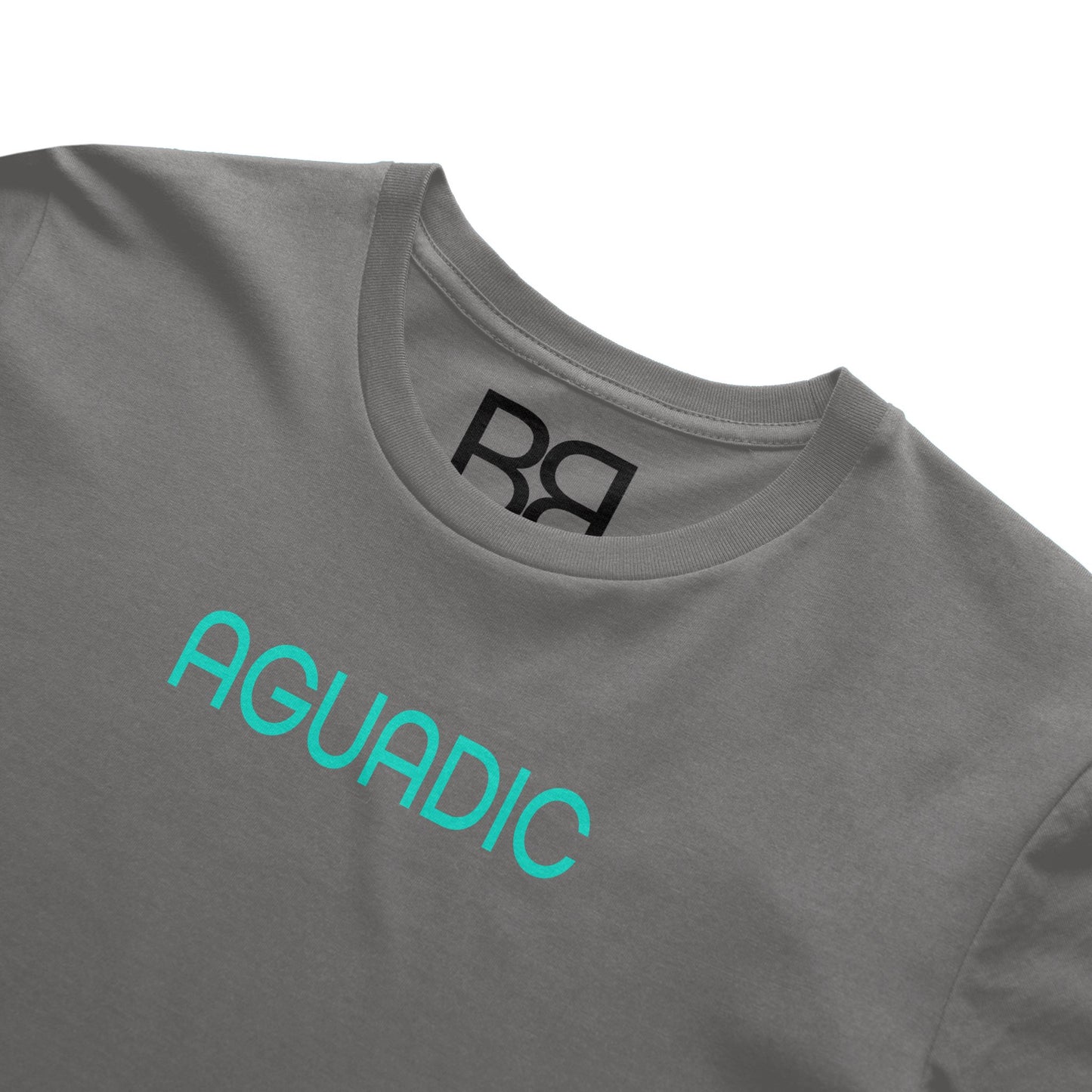 AGUADIC-NAPLES SUSNET